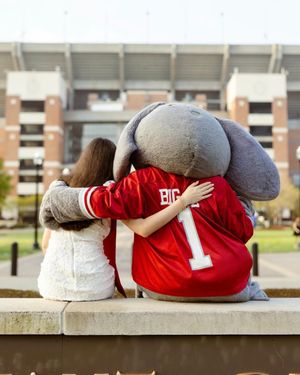 Image post by @univofalabama on Instagram