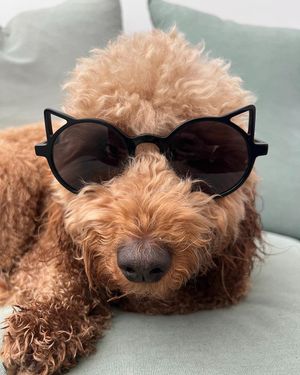 Image post by @eyebuydirect on Instagram