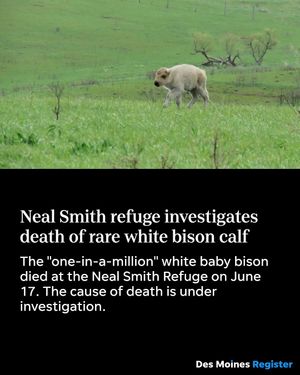 Image post by @dmregister on Instagram