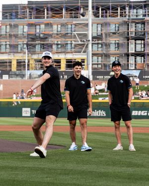 Image post by @saltlakebees on Instagram