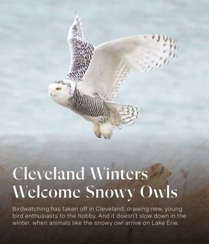 Image post by @clevelandmagazine on Instagram