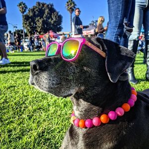 Image post by @knockaround on Instagram