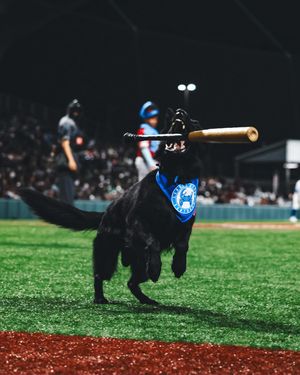 Image post by @santurcelbprc on Instagram