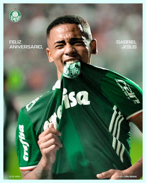Image post by @palmeiras on Instagram