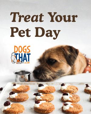 Image post by @susangarrettdogsthat on Instagram