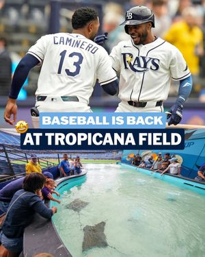 Image post by @mlb on Instagram