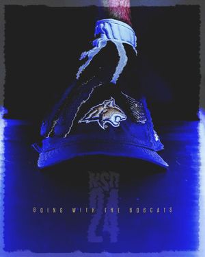 Image post by @msubobcatsfb on Instagram