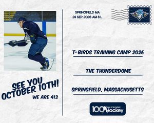 Image post by @thunderbirdsahl on Instagram