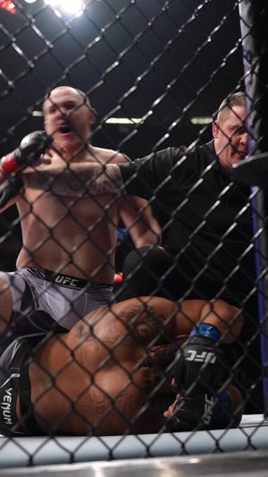 Video post by @ufc on TikTok