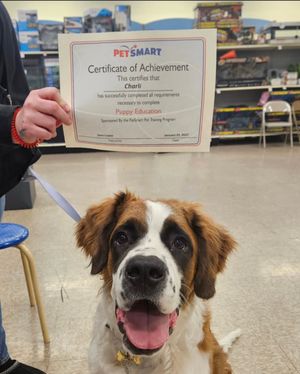 Video post by @petsmart on TikTok