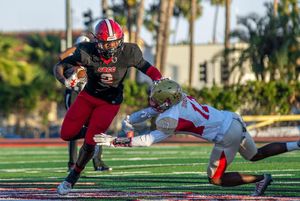 Image post by @zoeneumer on Instagram