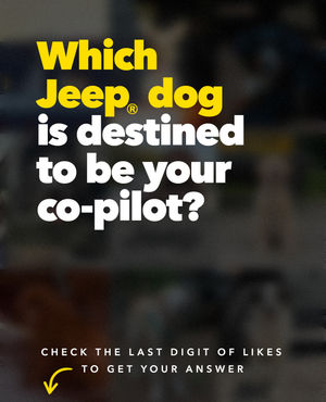 Image post by @jeep on Instagram