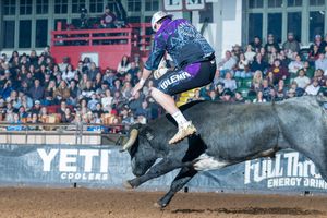 Image post by @ultimatebullfighters on Instagram