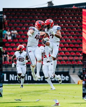 Image post by @hamburgseadevils on Instagram