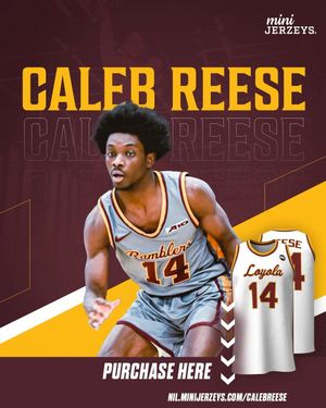 Image post by @minijerzeys on Instagram