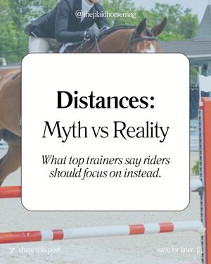 Image post by @theplaidhorsemag on Instagram
