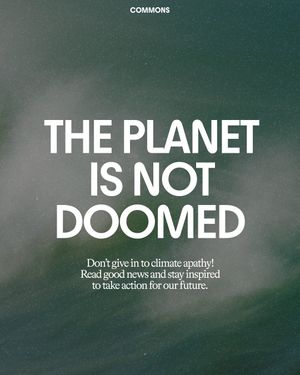 Image post by @commonsearth on Instagram