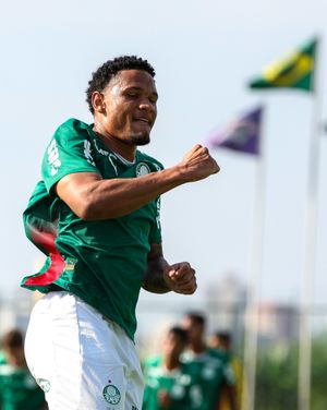Image post by @palmeiras on Instagram