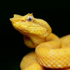 Image post by @discovery on Instagram