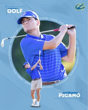 Image post by @mmagolf on Instagram