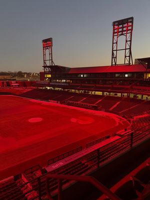 Image post by @memphisredbirds on Instagram