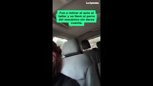 Video post by @laopinionla on YouTube