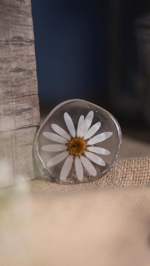 Video post by @leafyaffair on Instagram