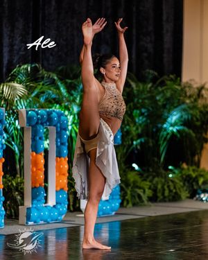 Video post by @dolphinscheer on TikTok