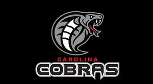 Image post by @carcobras on Instagram