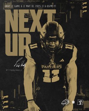 Image post by @panthersifl on Instagram