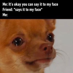 Image post by @9gag on Instagram