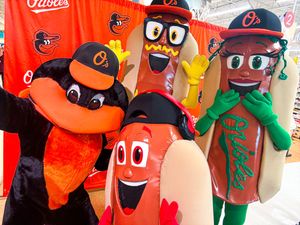 Image post by @OrioleBird on Twitter