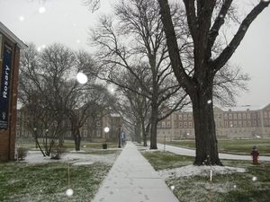 Image post by @usjct on Instagram