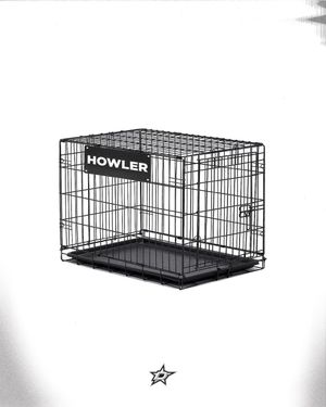 Image post by @dallasstars on Instagram