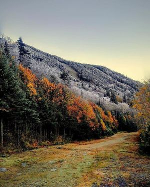 Image post by @uvm_ssc on Instagram