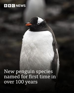 Image post by @bbcnews on Instagram