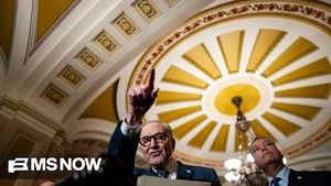 Video post by @msnbc on YouTube