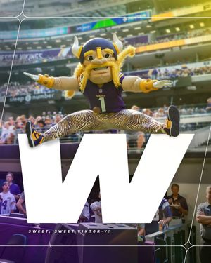 Image post by @viktortheviking on Instagram