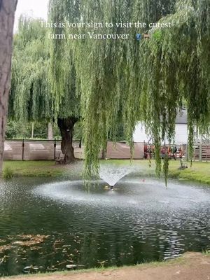 Image post by @tourismabbotsford on Instagram