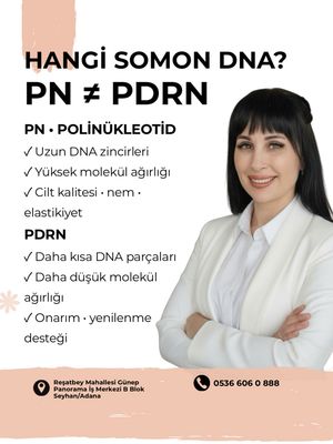 Image post by @drozlemteberik on Instagram