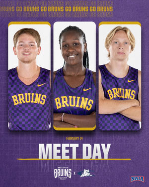 Image post by @bubruins on Instagram