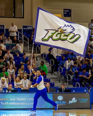 Image post by @fgcu_cheer on Instagram