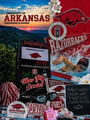 Image post by @razorbackswimdive on Instagram