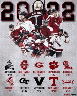 Image post by @cockhockey on Instagram