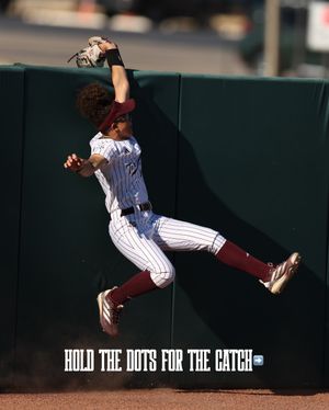 Image post by @aggiesoftball on Instagram