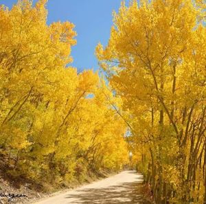 Image post by @9newsdenver on Instagram