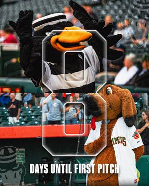 Image post by @jolietslammersofficial on Instagram