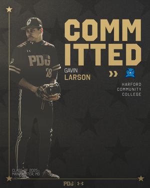Image post by @pdgabaseball on Instagram