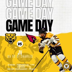 Image post by @ua_ice_hockey on Instagram