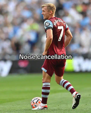 Image post by @westham on TikTok